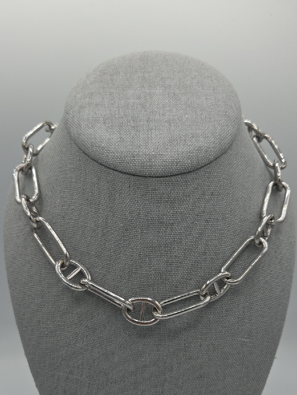 5 for $25! Express Silver Tone Link Chain Necklace
